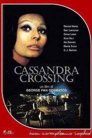 Cassandra Crossing