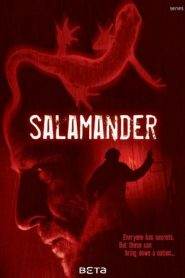 Salamander