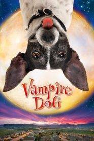 Vampire Dog