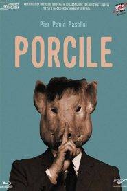 Porcile