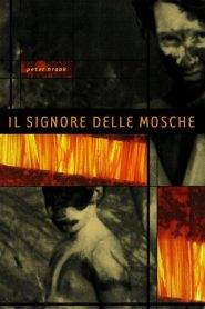 Il signore delle mosche