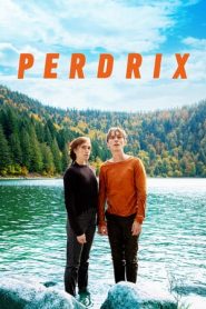 Perdrix