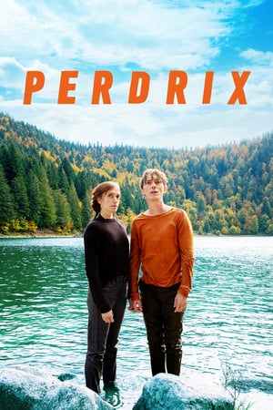 Perdrix