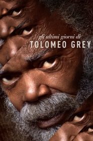 Gli ultimi giorni di Tolomeo Grey