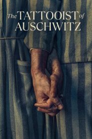 Il tatuatore di Auschwitz: Stagione 1