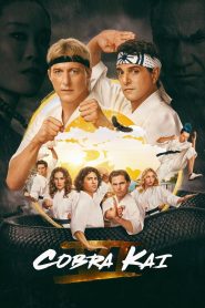 Cobra Kai: Stagione 6